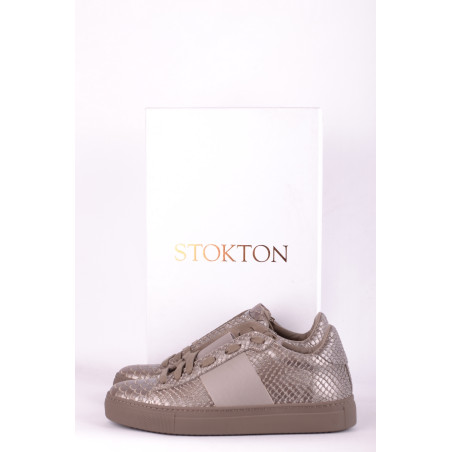 Shoes Stokton