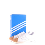Shoes Adidas