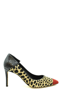 Shoes Giuseppe Zanotti