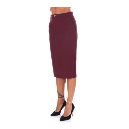 Jupe Elisabetta Franchi Bordeaux