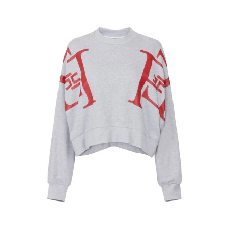 Pull Elisabetta Franchi gris