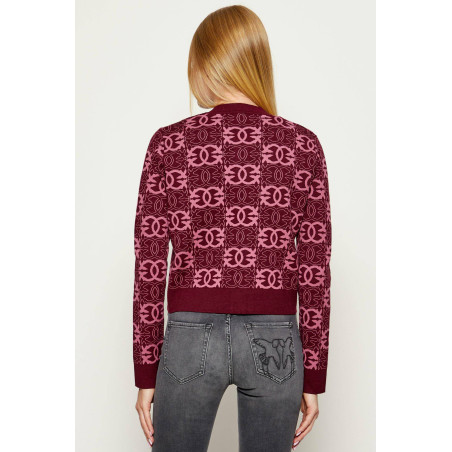 Cardigan Pinko burgundy 106043A2YD RW2