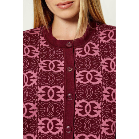 Cardigan Pinko Bordeaux 106043A2YD RW2