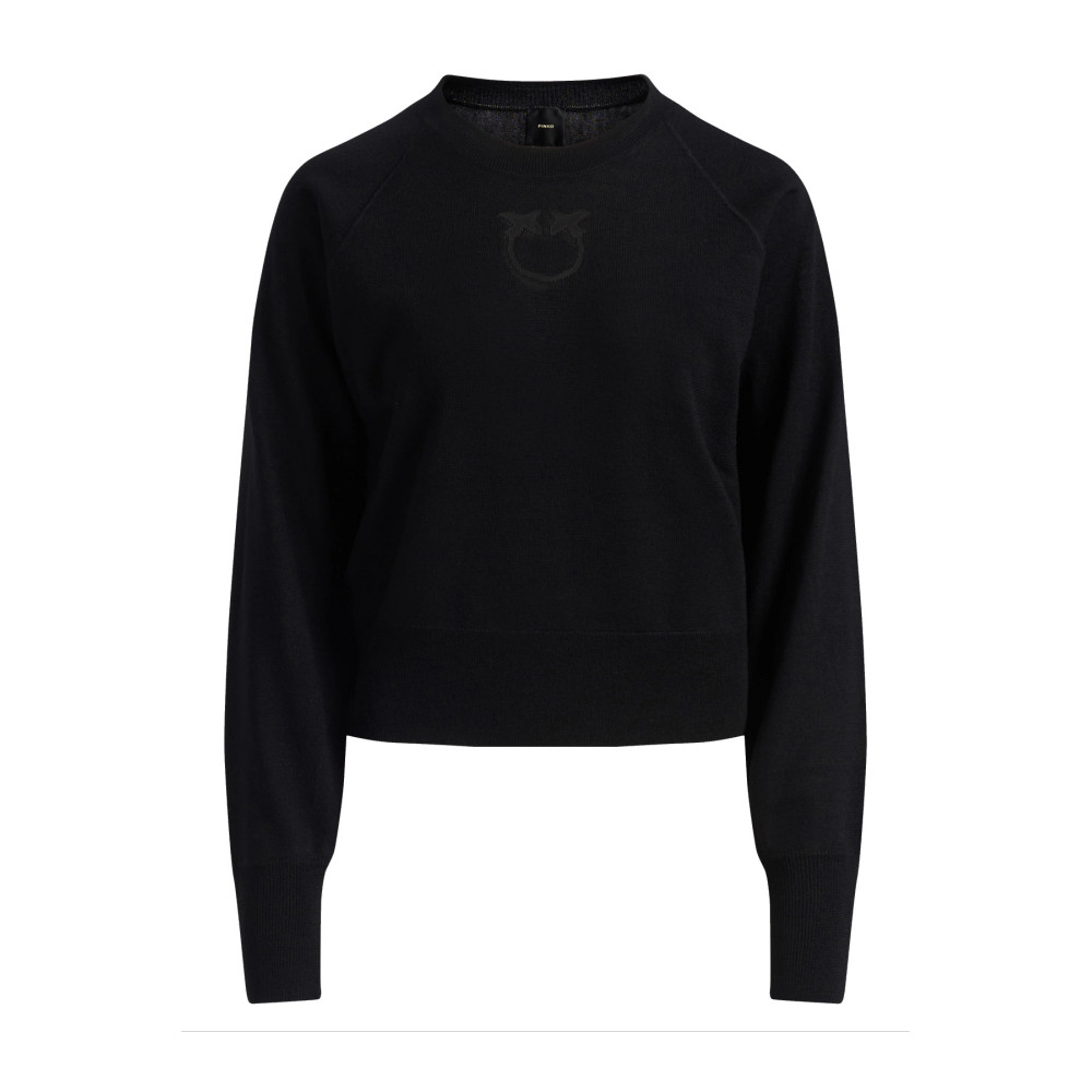 Sweater Pinko black 105417 A18M